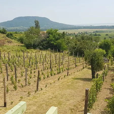 Grand Cru 4 Hébergement de vacances Hegymagas