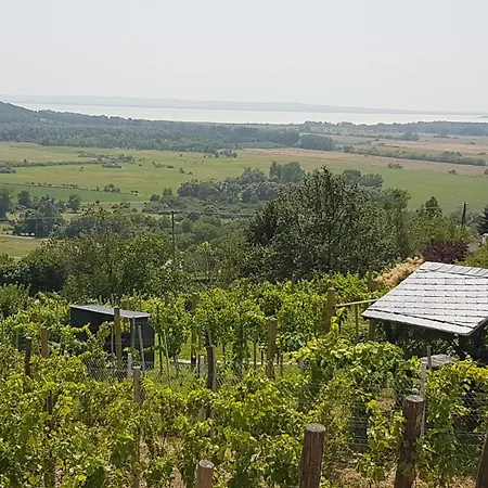 Grand Cru 4 Vendeghaz *