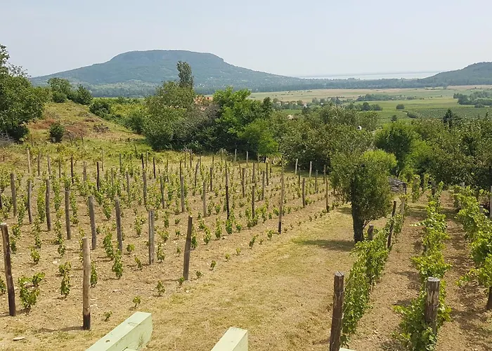 Grand Cru 4 Vendeghaz Дом отдыха Hegymagas